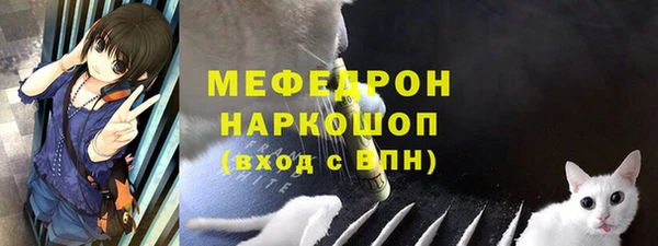 стаф Каменногорск