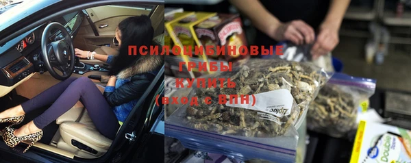 гидропоника Карталы
