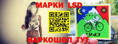 стафф Кингисепп