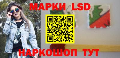 стафф Кингисепп