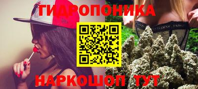 стафф Кингисепп