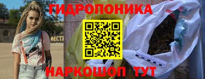 бошки Кимры