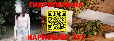 стафф Кингисепп