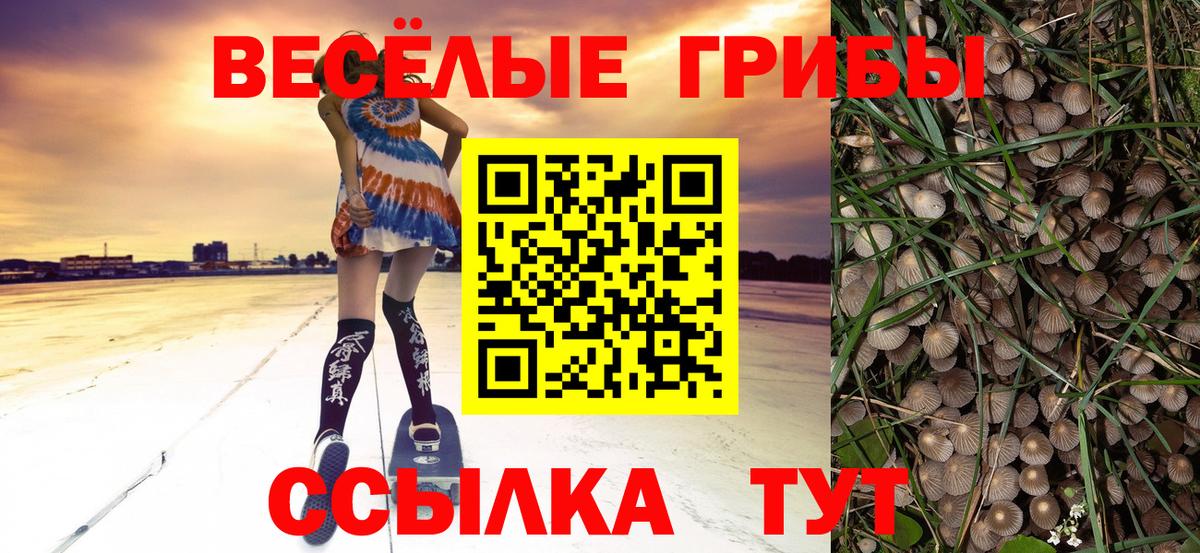 Котлас  Псилоцибиновые грибы прущие грибы  купить  сайты  Вход с VPN 