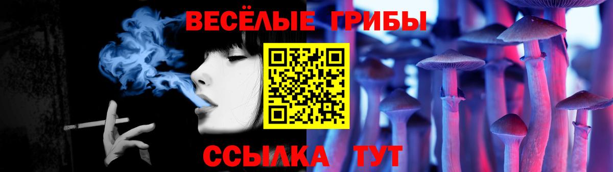 Галлюциногенные грибы Psilocybine cubensis Котлас